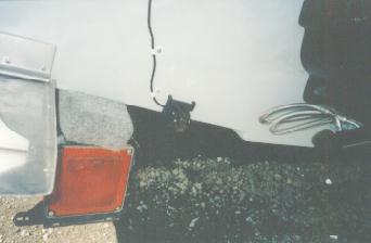 スピードメーター