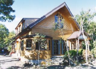 �y���V�����ς����S�i