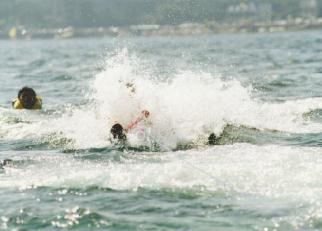 �E�H�[�^�[�X�L�[�r�M�i�[