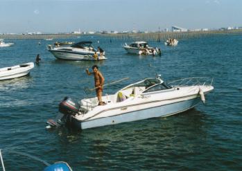 960927三番瀬潮干狩りオフ