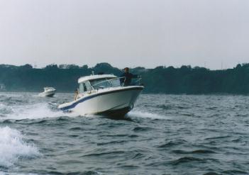 961006��P���I�t