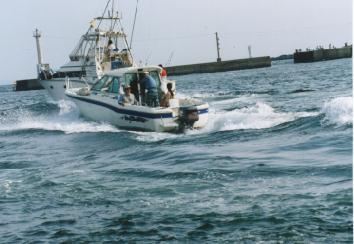 961006��P���I�t