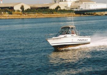 961206ビデオ撮影