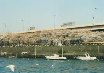 970330Boat Yard���Ԍ��I�t