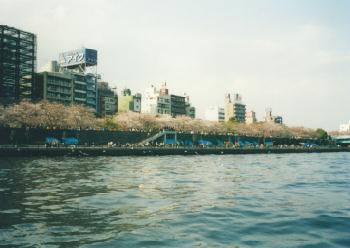 970330Boat Yard���Ԍ��I�t