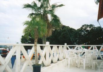 �h�y�t�l�h�}���[��