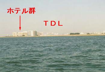 �Y������