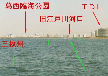 旧江戸川河口