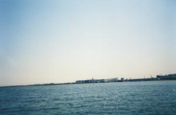 ���l�^��