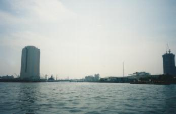 豊洲運河周辺