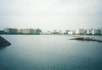 ���l�^��