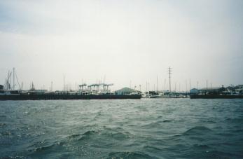 �Y������