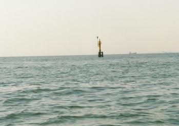 �Y�������W