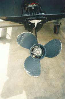 �y�����c