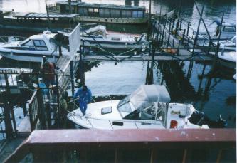 �₷��������ƎV��